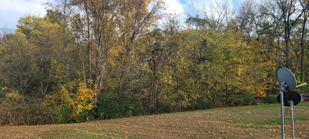 4698 Bennett Hollow Rd Thompsons Station, TN 37179