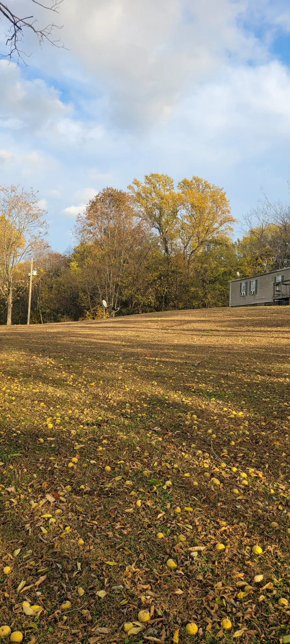 4698 Bennett Hollow Rd Thompsons Station, TN 37179
