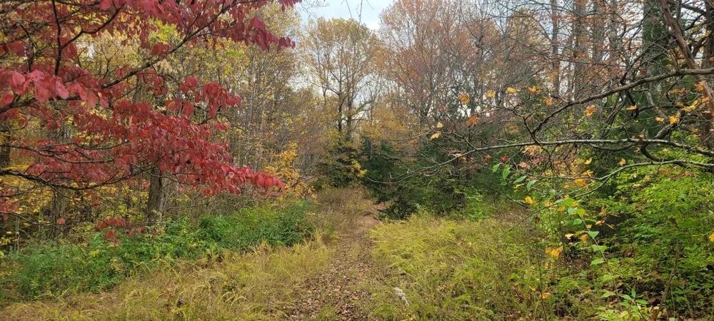 1 Sugar Ridge Rd Spring Hill, TN 37174