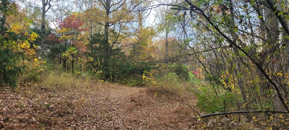 1 Sugar Ridge Rd Spring Hill, TN 37174