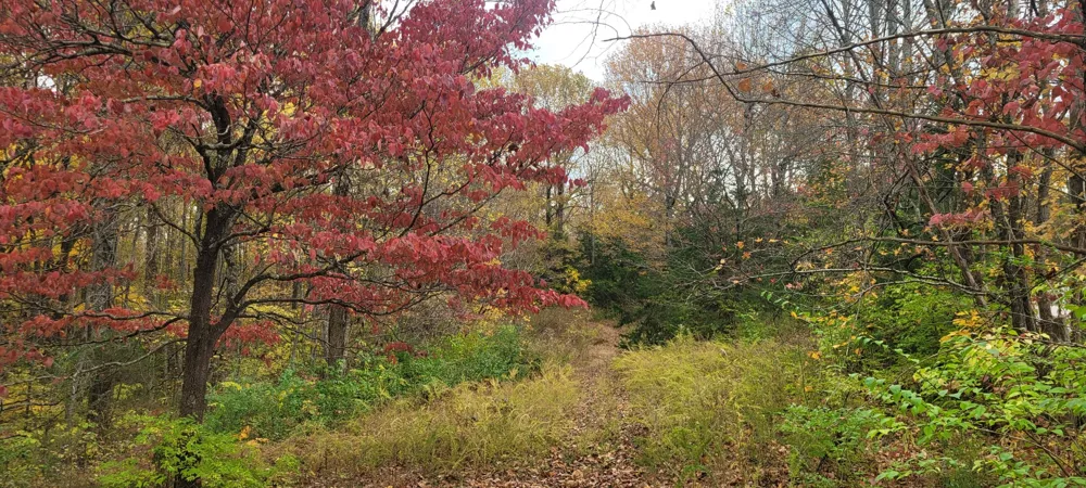 1 Sugar Ridge Rd Spring Hill, TN 37174