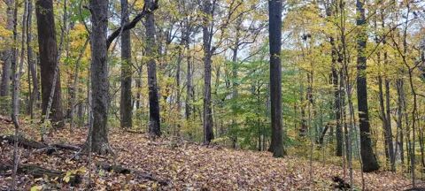 1 Sugar Ridge Rd