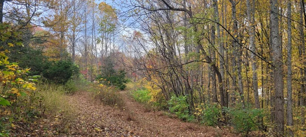 1 Sugar Ridge Rd Spring Hill, TN 37174