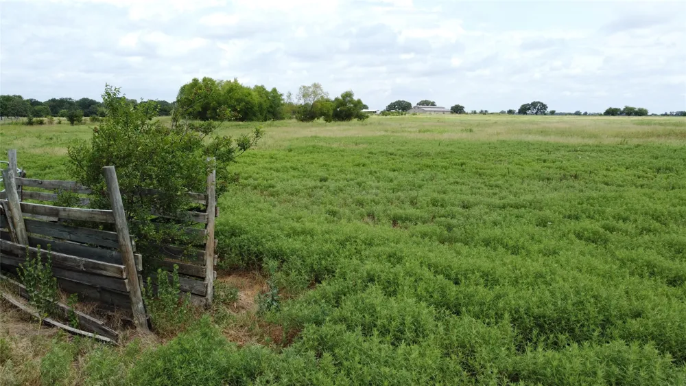 Bell Road Pilot Point, TX 76258