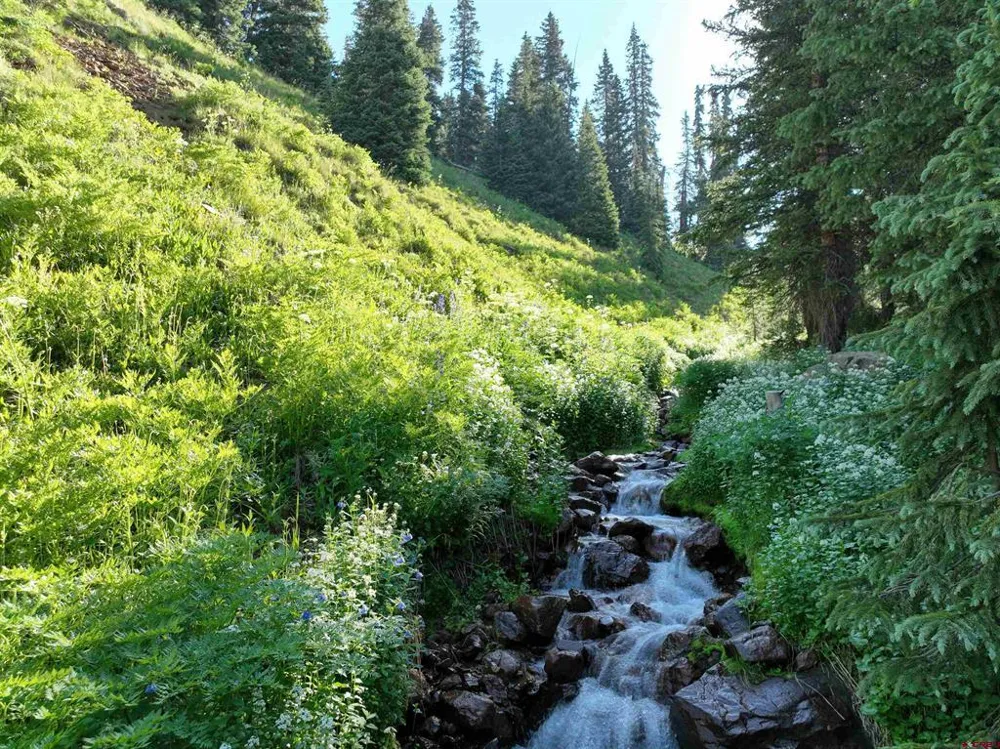 Road 51 Silverton, CO 81433
