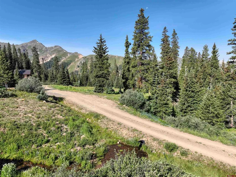 Road 51 Silverton, CO 81433