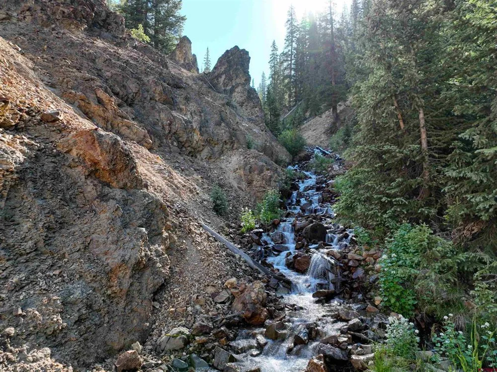 Road 51 Silverton, CO 81433