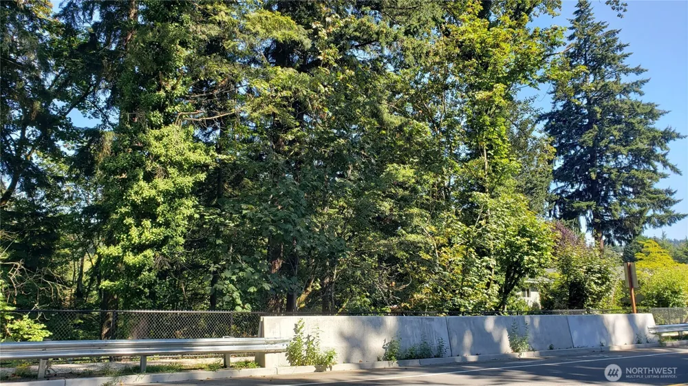 120 XX SE May Creek Park Drive Newcastle, WA 98059