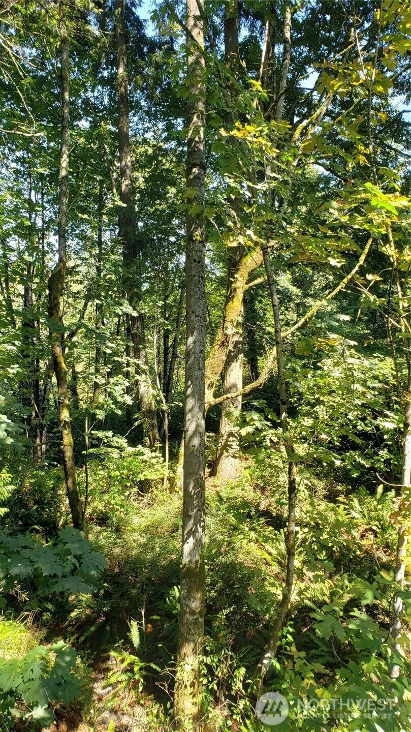 120 XX SE May Creek Park Drive Newcastle, WA 98059