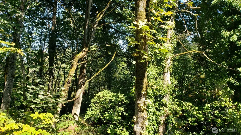 120 XX SE May Creek Park Drive Newcastle, WA 98059
