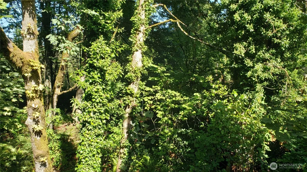 120 XX SE May Creek Park Drive Newcastle, WA 98059