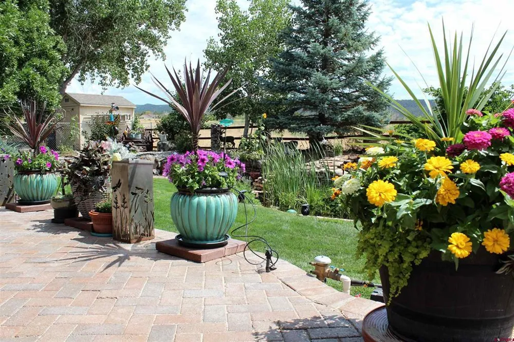 635 NE 2nd Street Cedaredge, CO 81413