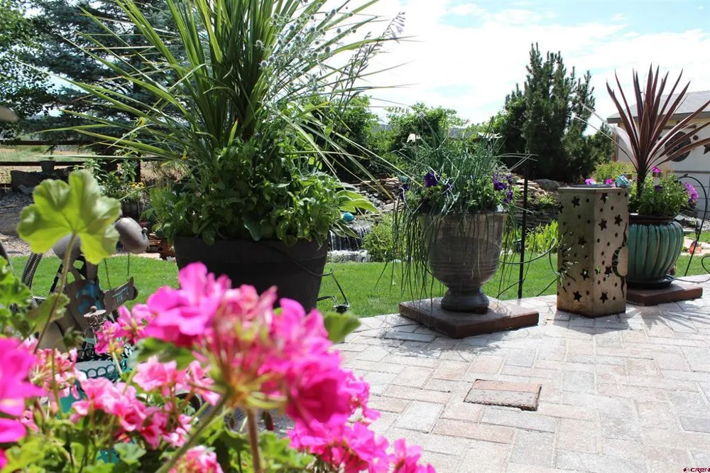 635 NE 2nd Street Cedaredge, CO 81413