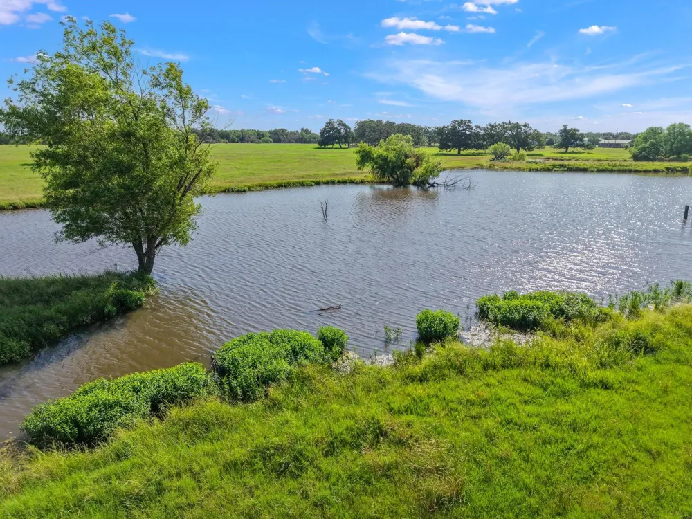 Opersteny Road Bryan, TX 77808