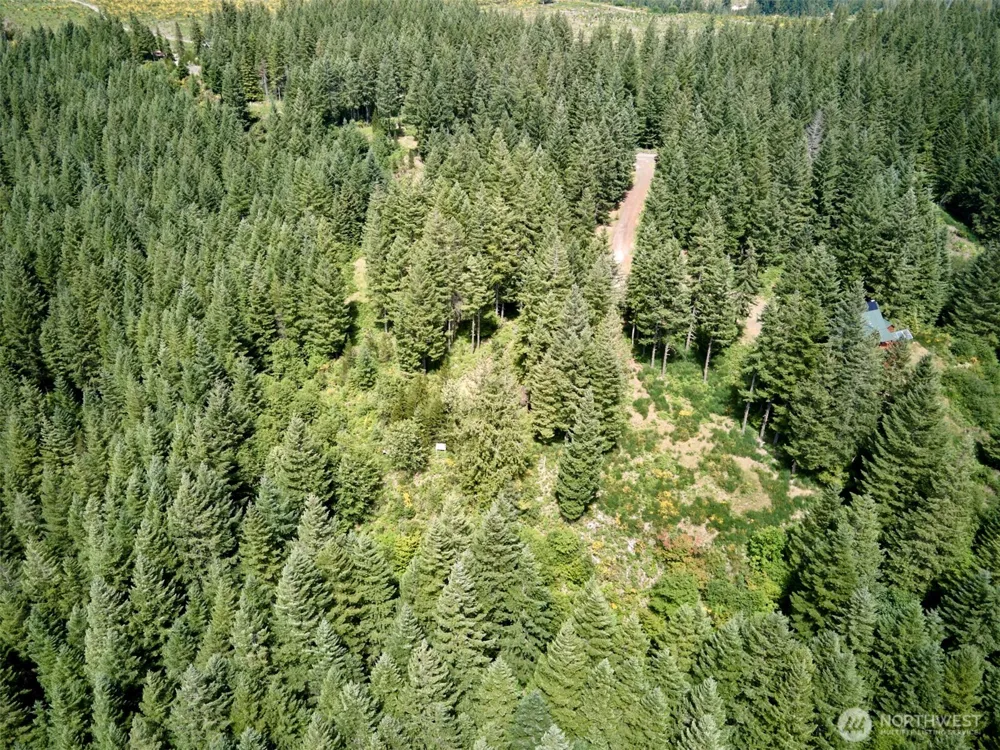 3 Phyllis Ann Block Court Cougar, WA 98616