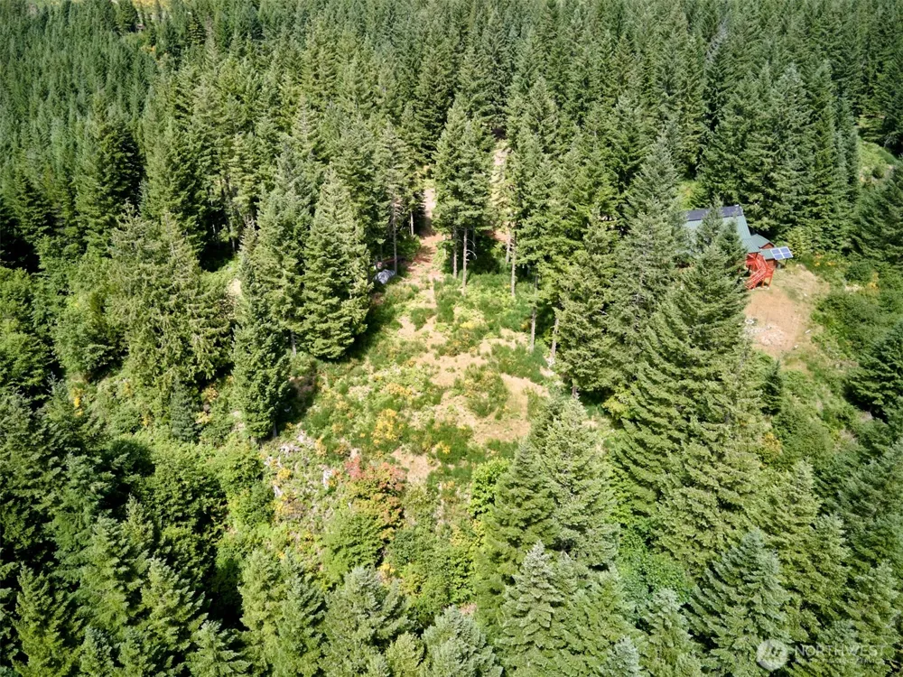 3 Phyllis Ann Block Court Cougar, WA 98616