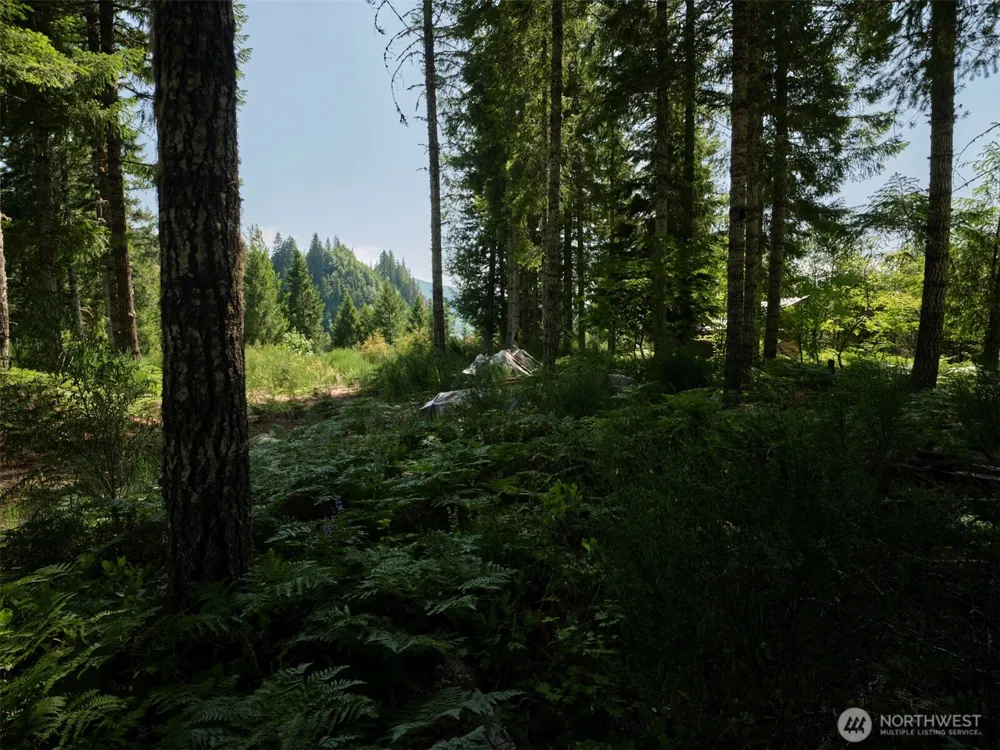 3 Phyllis Ann Block Court Cougar, WA 98616