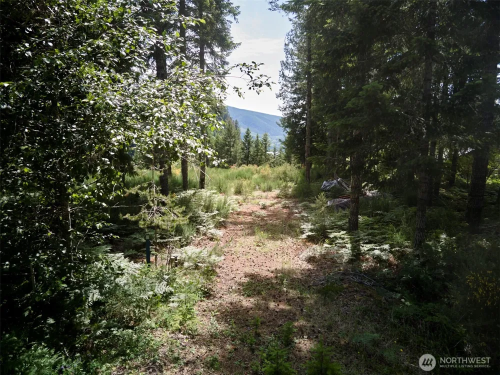 3 Phyllis Ann Block Court Cougar, WA 98616