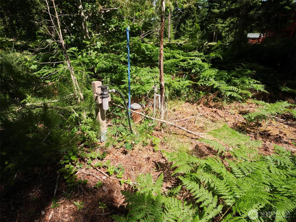 3 Phyllis Ann Block Court Cougar, WA 98616