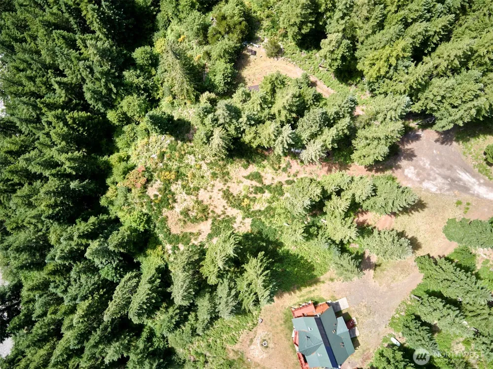3 Phyllis Ann Block Court Cougar, WA 98616