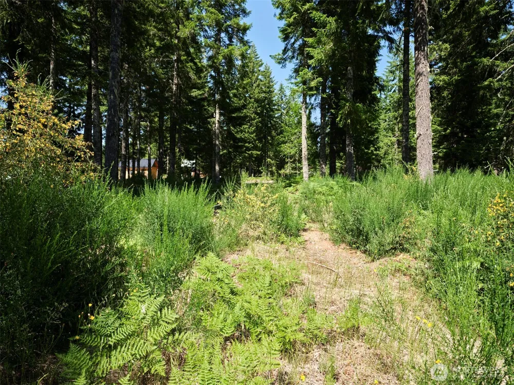 3 Phyllis Ann Block Court Cougar, WA 98616