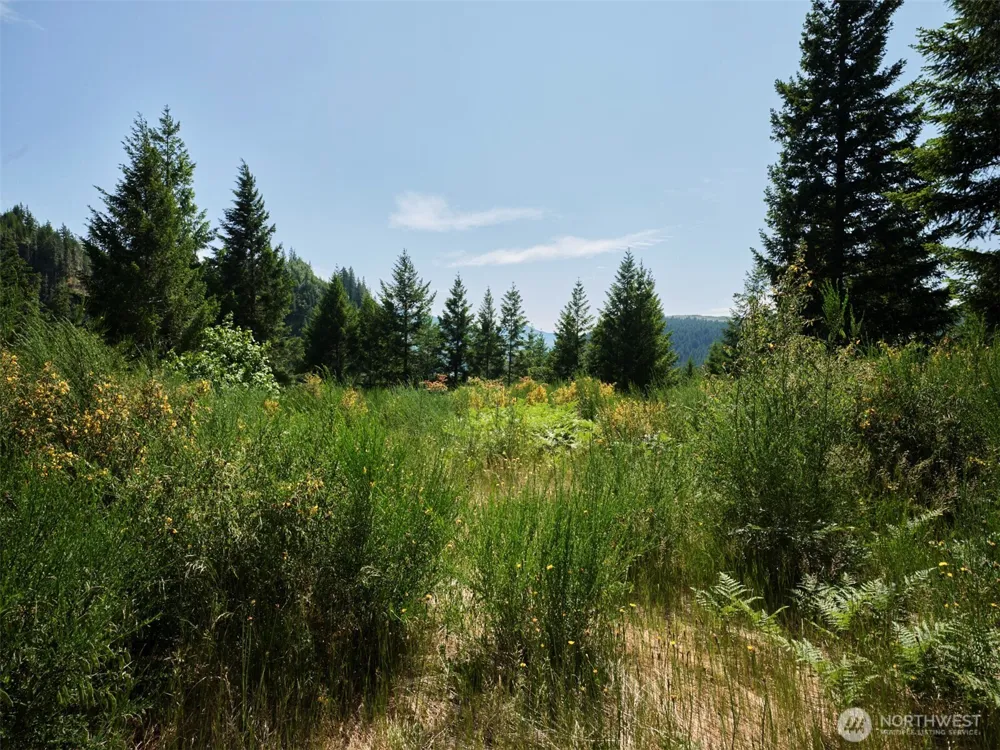3 Phyllis Ann Block Court Cougar, WA 98616