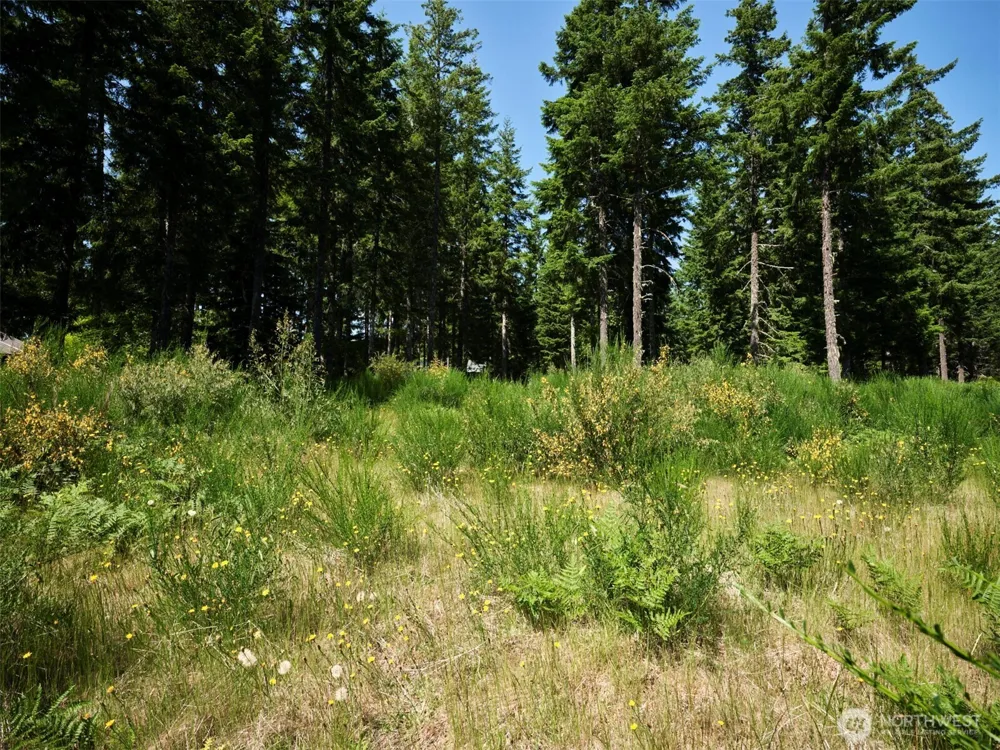 3 Phyllis Ann Block Court Cougar, WA 98616