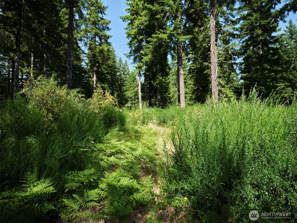 3 Phyllis Ann Block Court Cougar, WA 98616