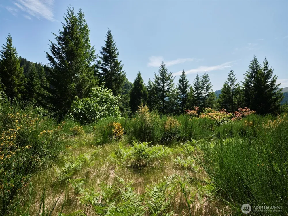 3 Phyllis Ann Block Court Cougar, WA 98616