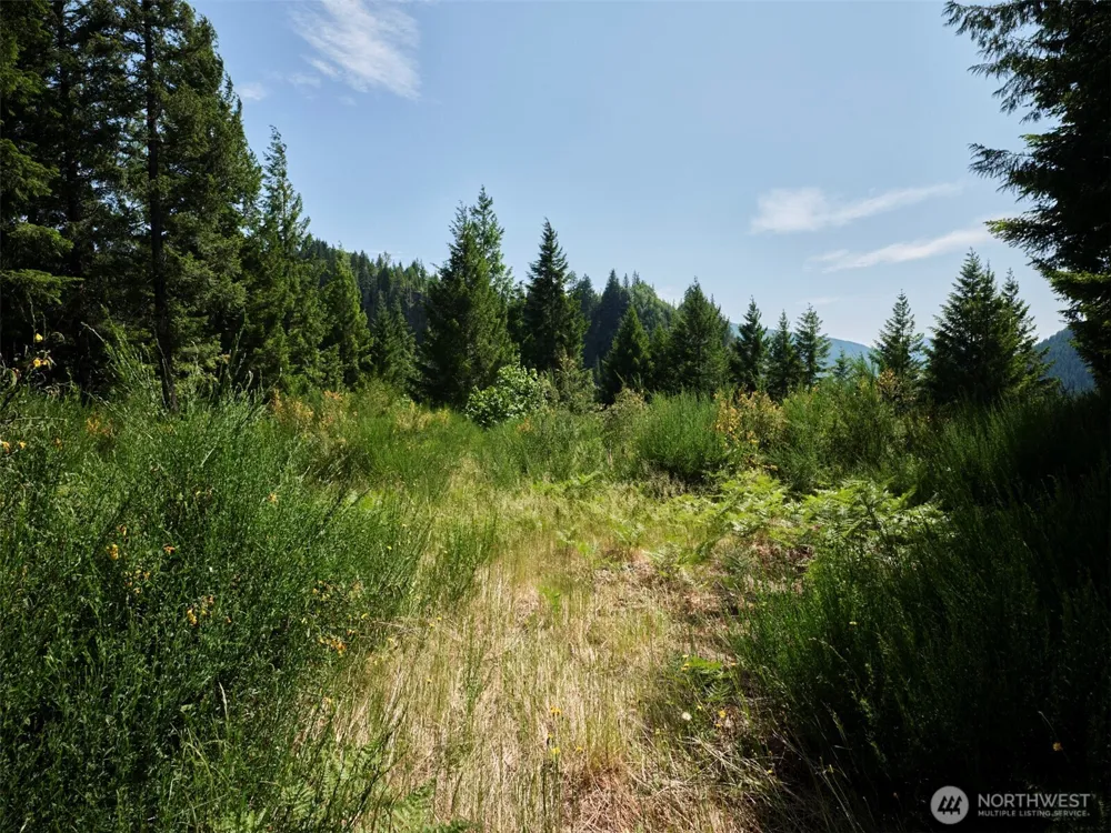 3 Phyllis Ann Block Court Cougar, WA 98616