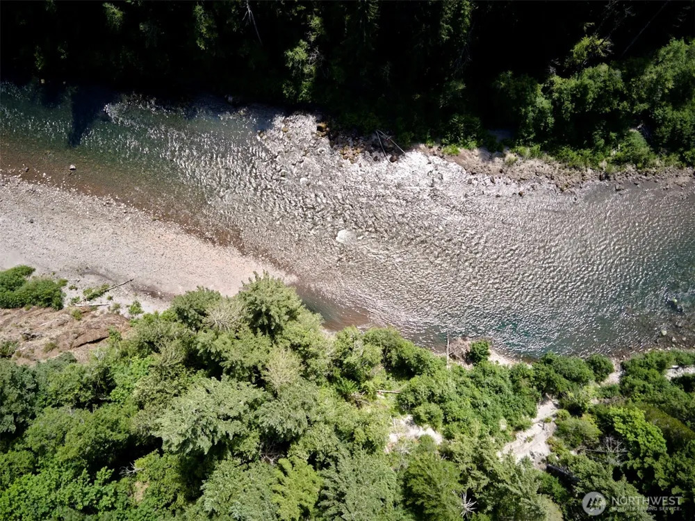 3 Phyllis Ann Block Court Cougar, WA 98616