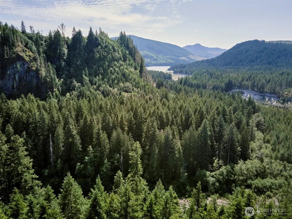 3 Phyllis Ann Block Court Cougar, WA 98616