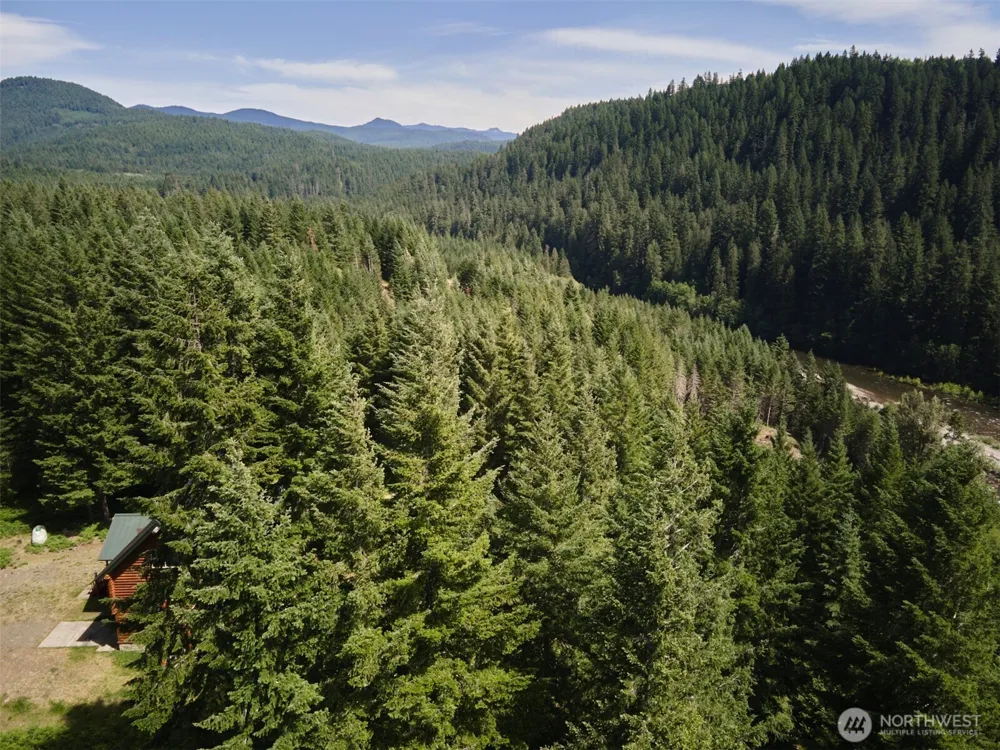 3 Phyllis Ann Block Court Cougar, WA 98616