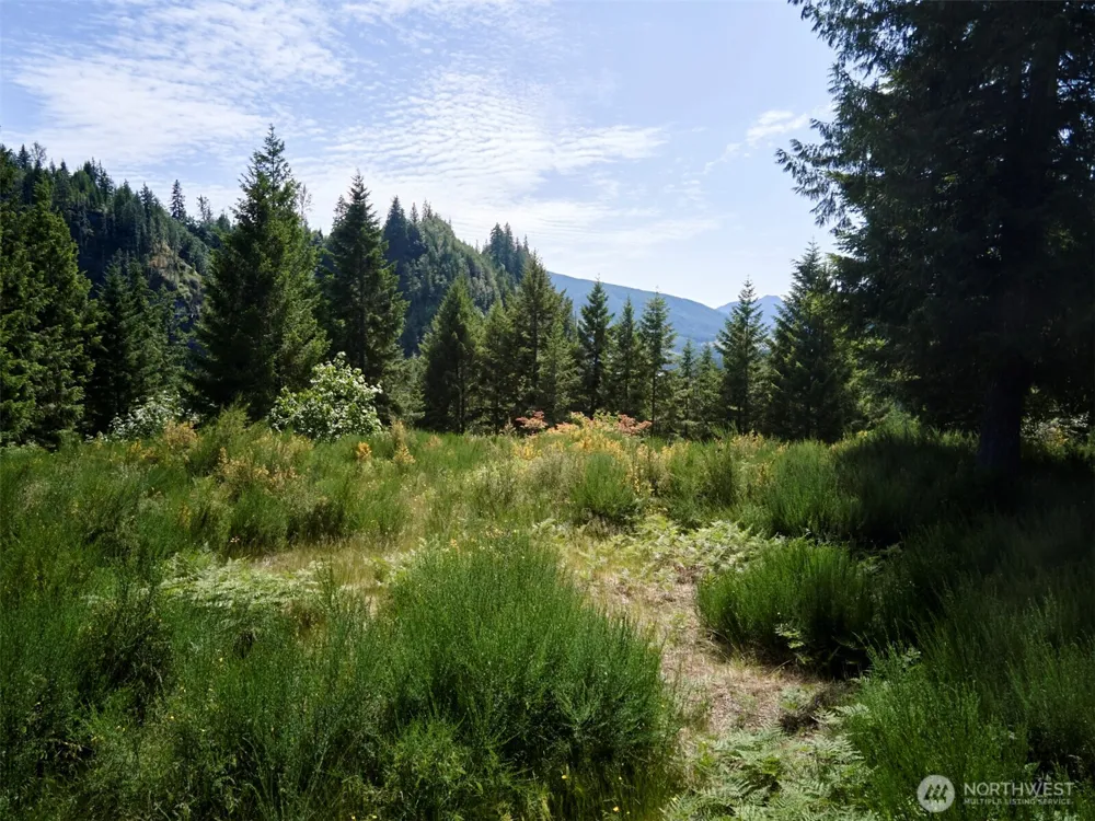 3 Phyllis Ann Block Court Cougar, WA 98616