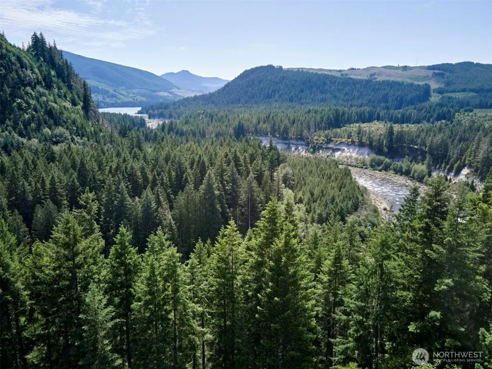 3 Phyllis Ann Block Court Cougar, WA 98616