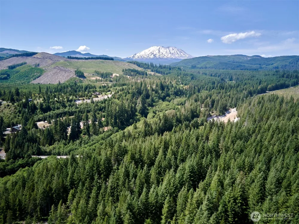 3 Phyllis Ann Block Court Cougar, WA 98616