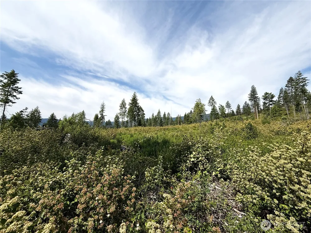 0 Rockabye Lane Curlew, WA 99118