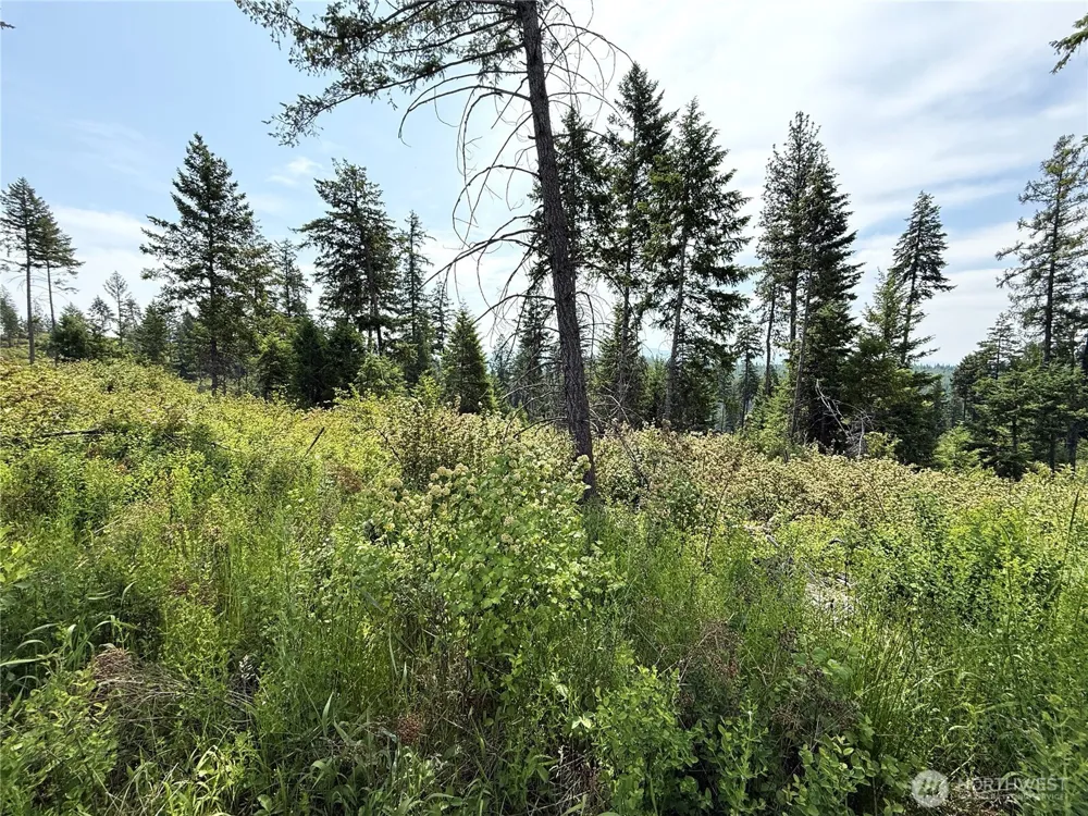 0 Rockabye Lane Curlew, WA 99118