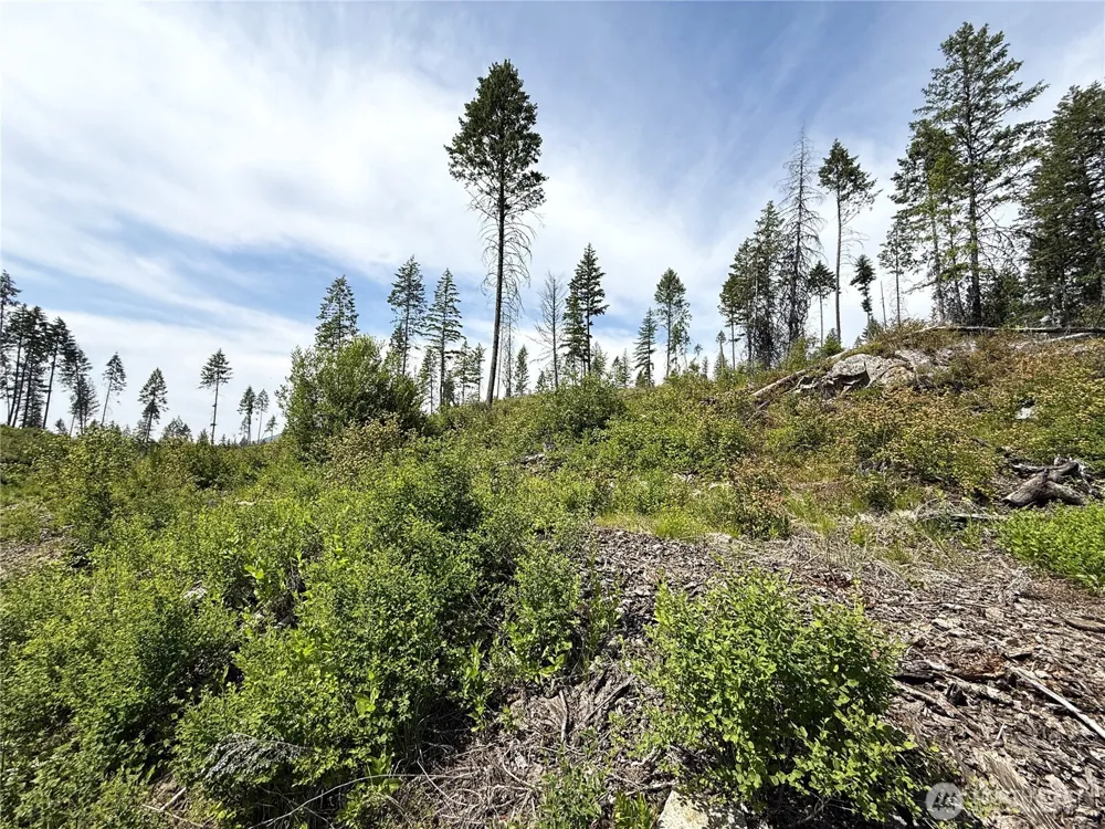 0 Rockabye Lane Curlew, WA 99118