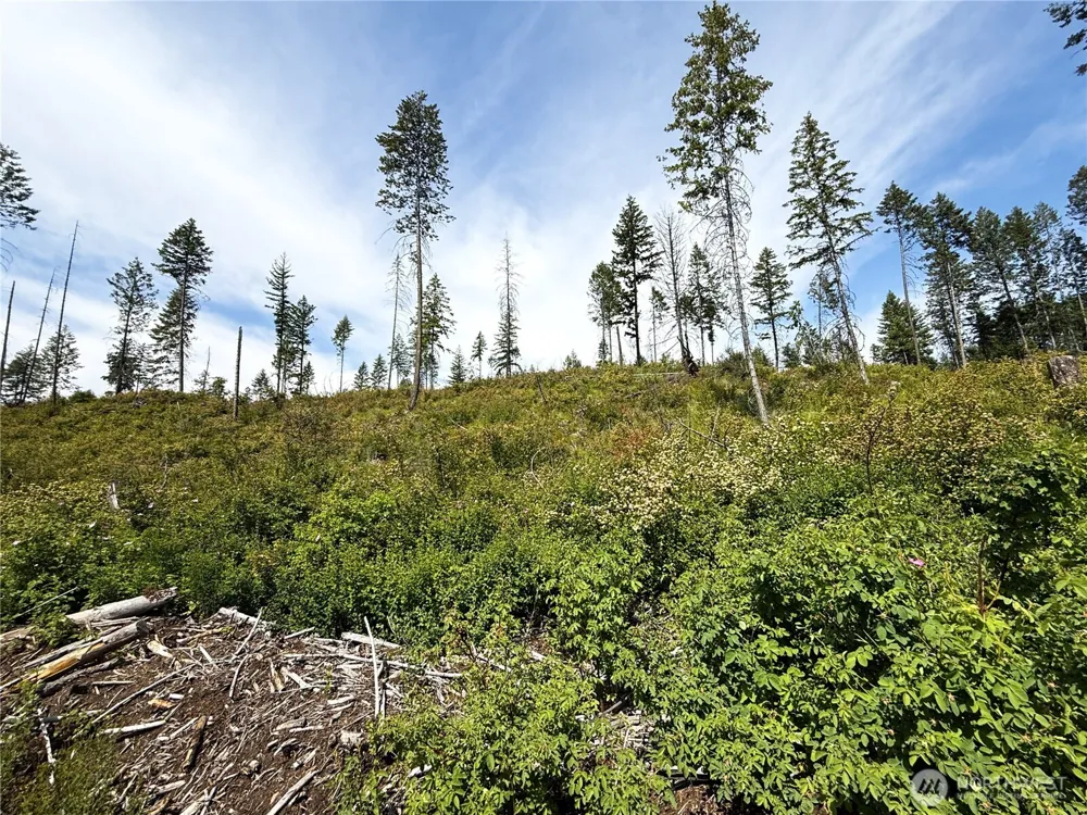 0 Rockabye Lane Curlew, WA 99118