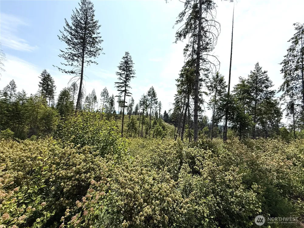 0 Rockabye Lane Curlew, WA 99118