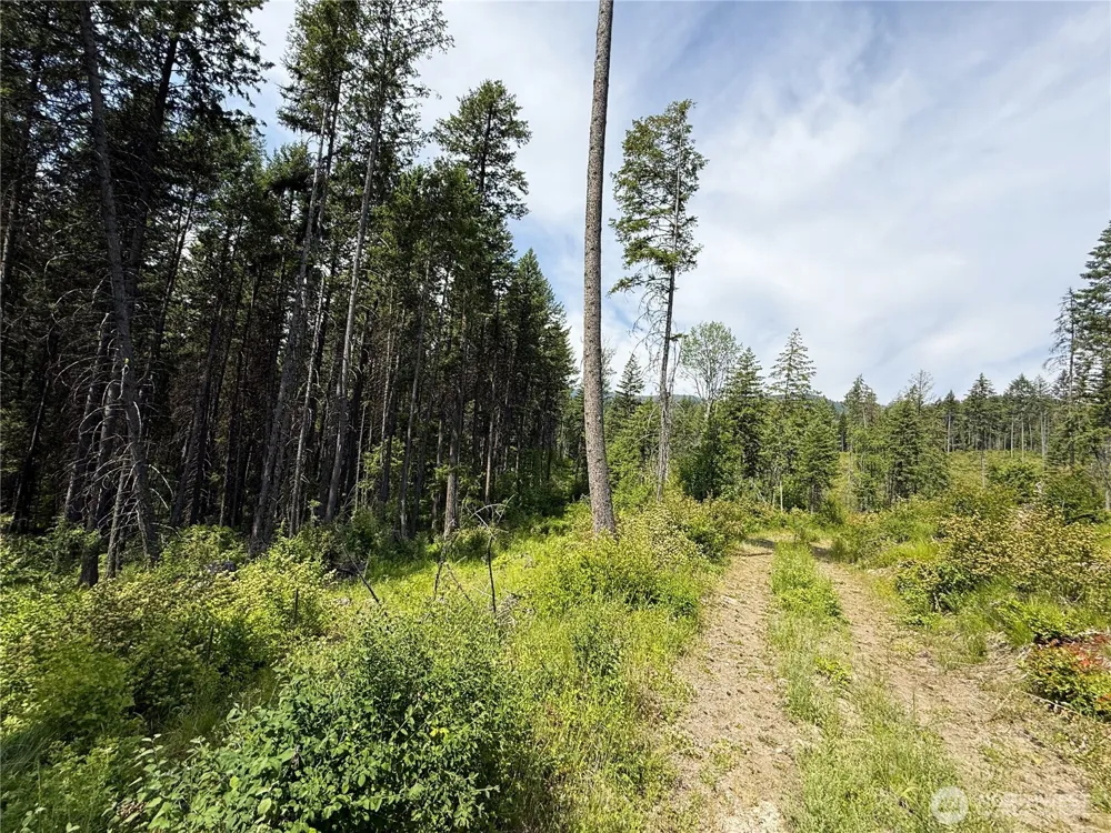 0 Rockabye Lane Curlew, WA 99118