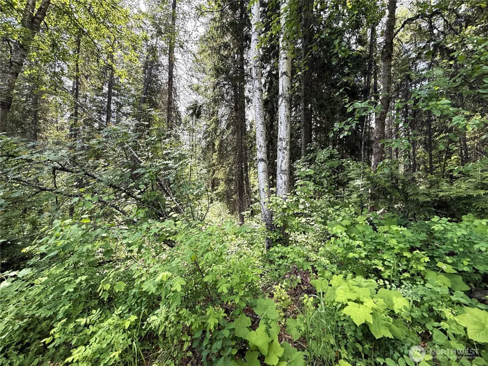 0 Rockabye Lane Curlew, WA 99118