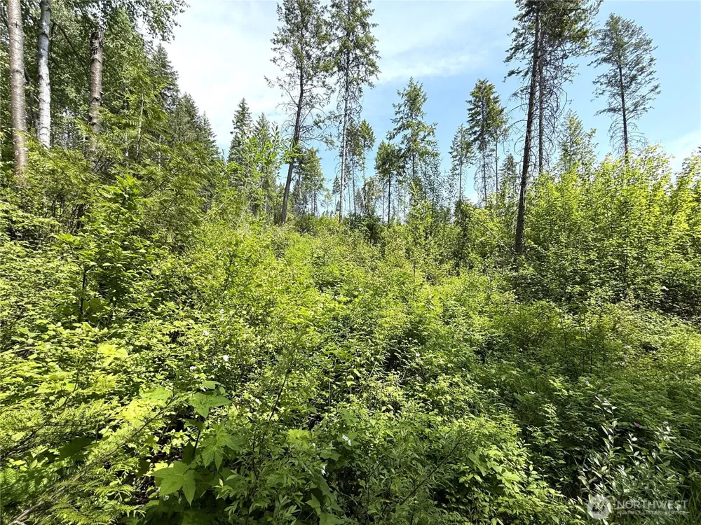 0 Rockabye Lane Curlew, WA 99118
