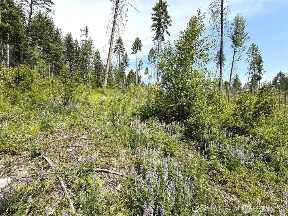 0 Rockabye Lane Curlew, WA 99118