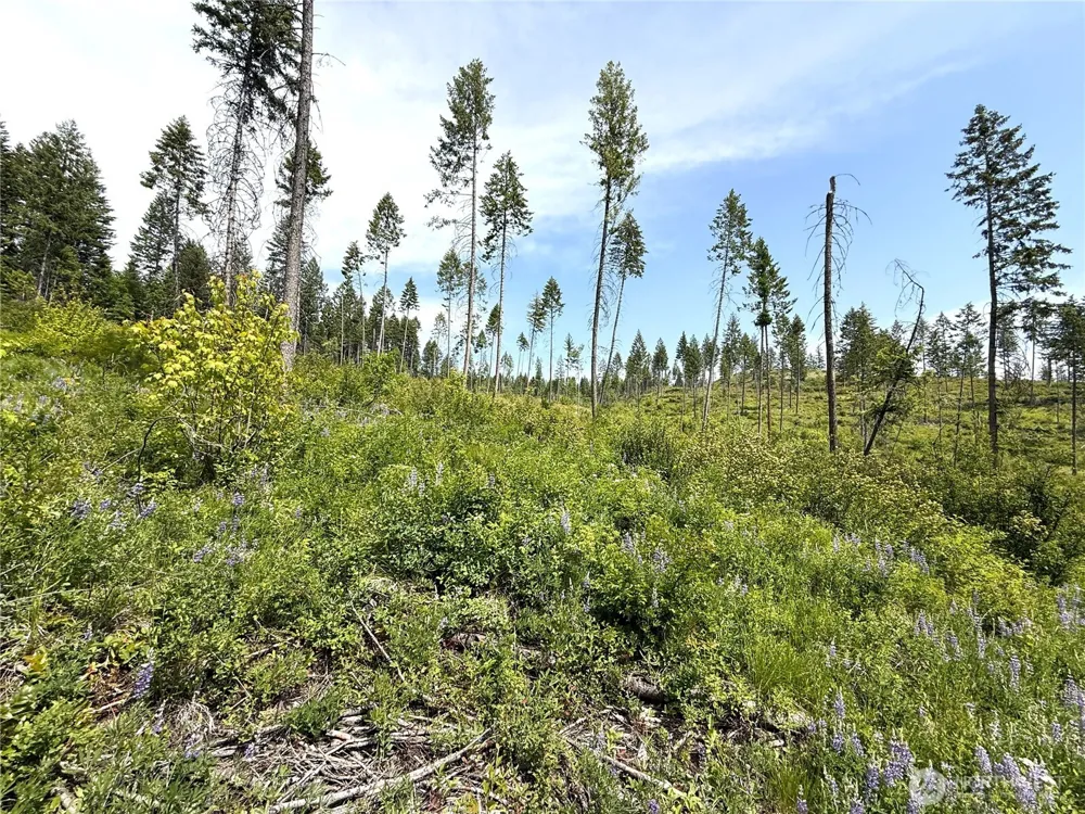 0 Rockabye Lane Curlew, WA 99118