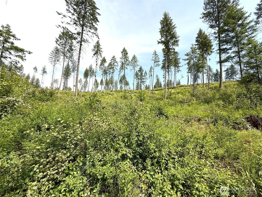 0 Rockabye Lane Curlew, WA 99118