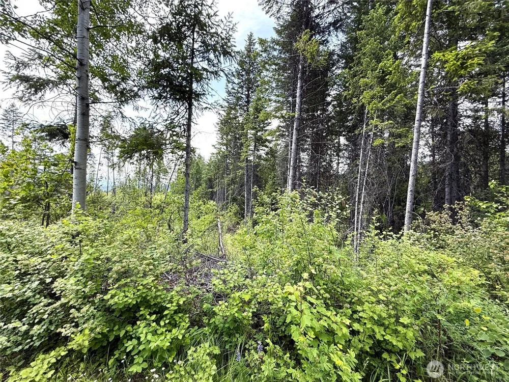 0 Rockabye Lane Curlew, WA 99118