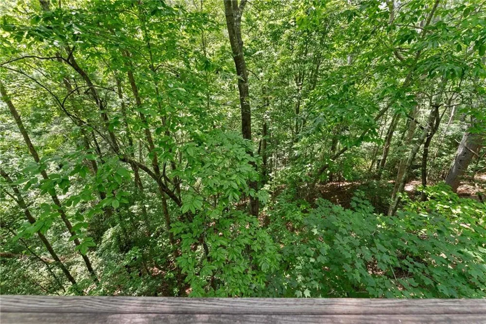 17 Dach Bruecke Gasse Helen, GA 30545
