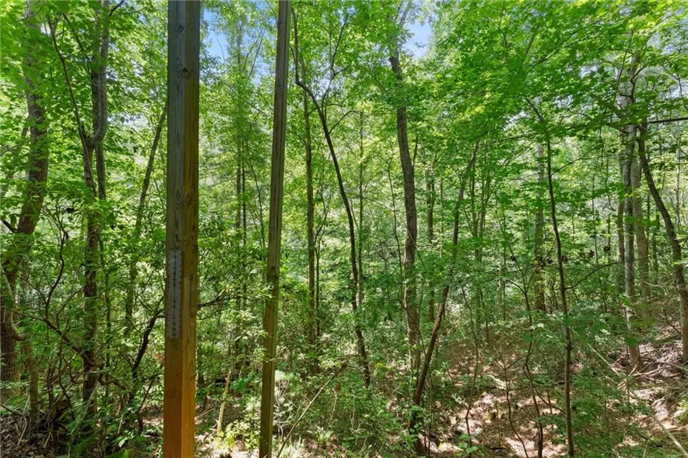 17 Dach Bruecke Gasse Helen, GA 30545
